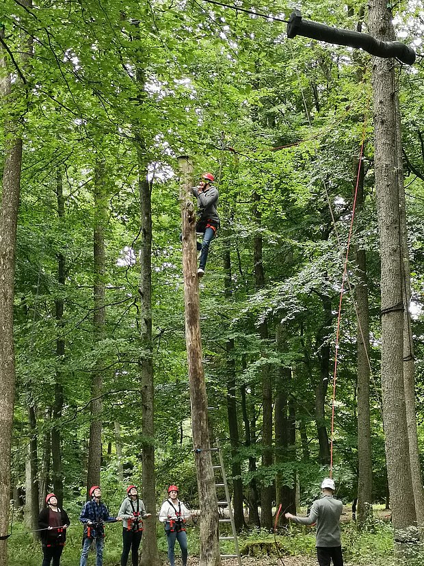 Auszubildende im Kletterwald